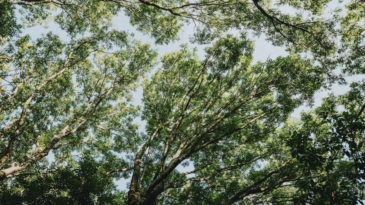 蜜桃裤视频时尚与舒适的完美结合